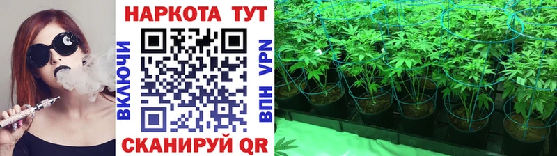 Где купить Магадан Канабис  APVP  МЕФ 