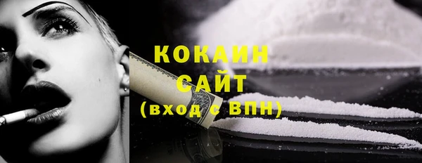 шишки Краснотурьинск