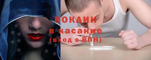 шишки Краснотурьинск