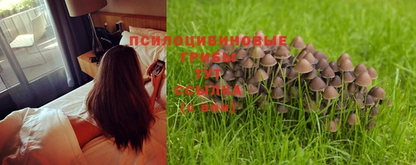jwh Семёнов