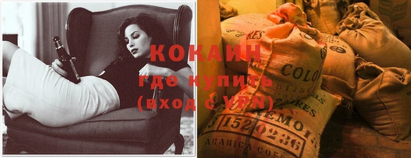 шишки Краснотурьинск
