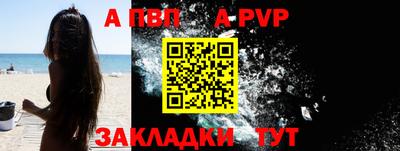 крисы Кингисепп