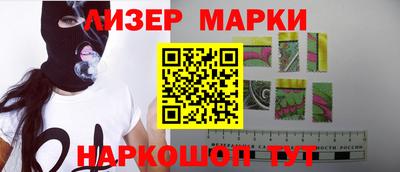 крисы Кингисепп