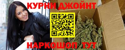 крисы Кингисепп