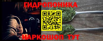 крисы Кингисепп