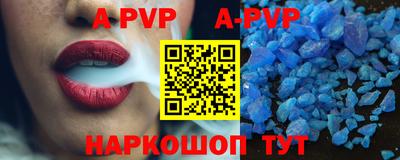 крисы Кингисепп